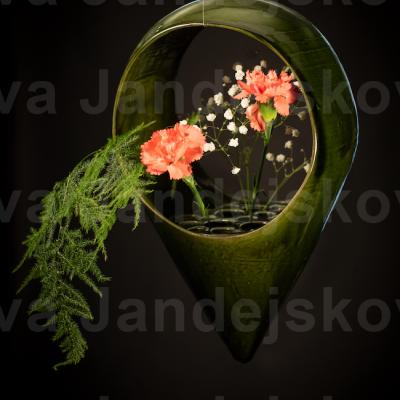 NOH_4248