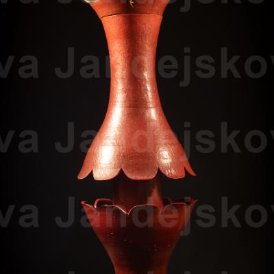 NOH_4259