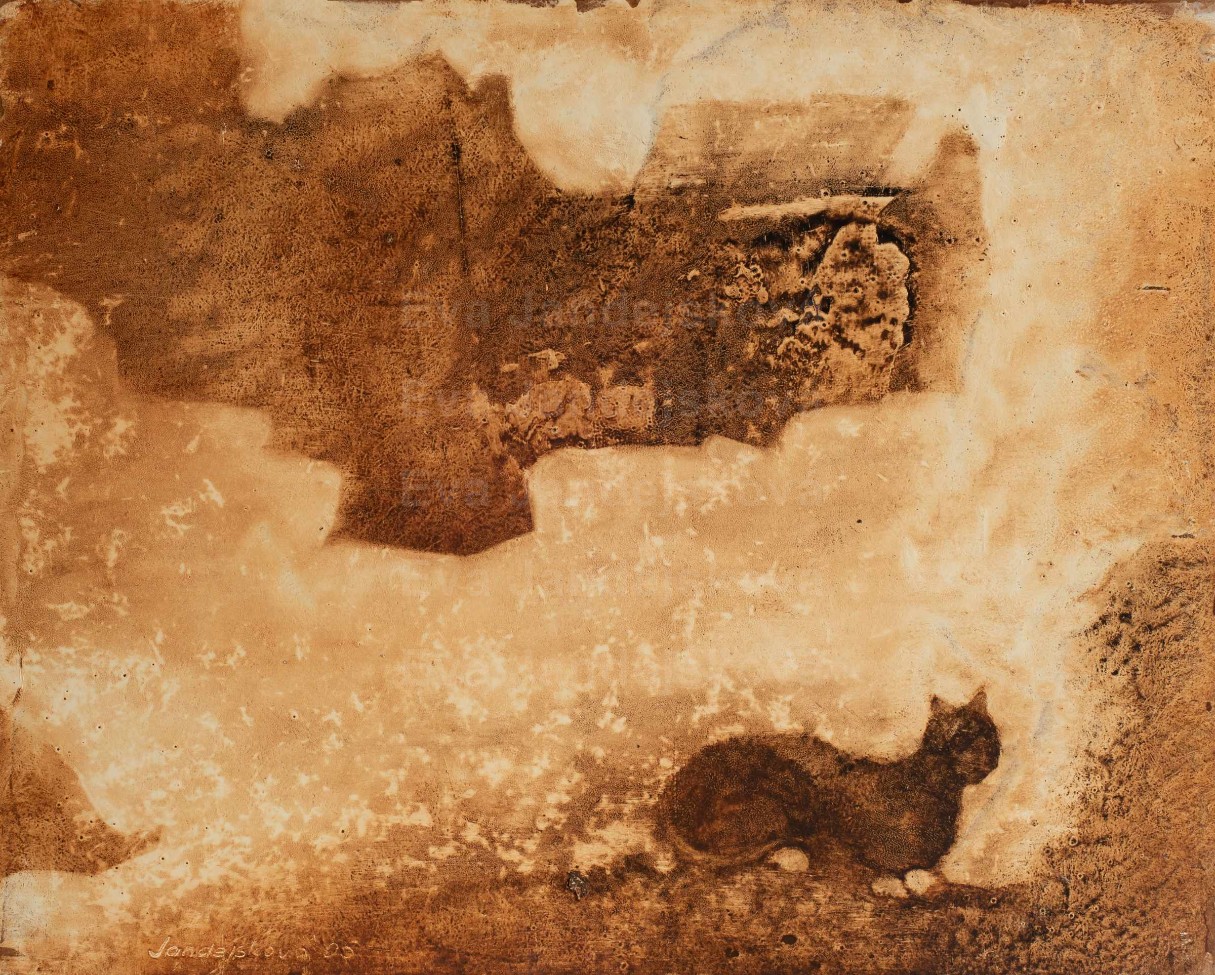 Kočka z pobřeží - Galerie Eva Jandejsková